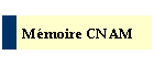 Mmoire CNAM